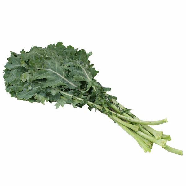Kale White Russian Seed Sale - Image 2