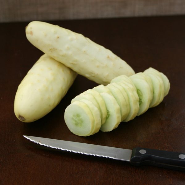 Cucumber Silver Slicer Seed For Cheap - Image 5