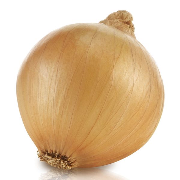 Onion Saddleback F1 Seed Cheap