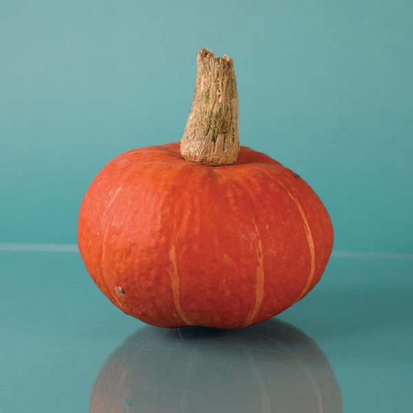 Squash Sunshine F1 Seed Online - Image 2