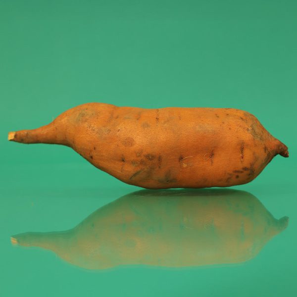 Sweet Potato Centennial Discount - Image 5