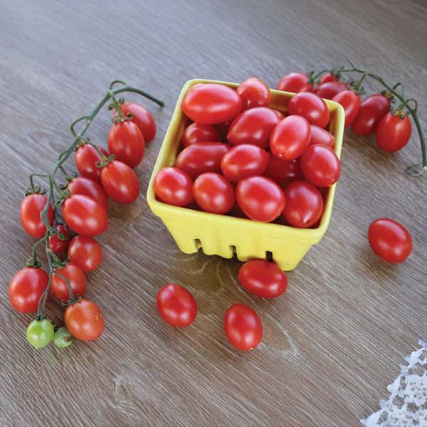Tomato Pink Champagne Organic Seed Supply