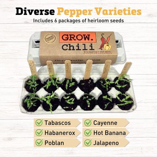 Grow Gardens Grow Chili Kit Hot on Sale - Image 3