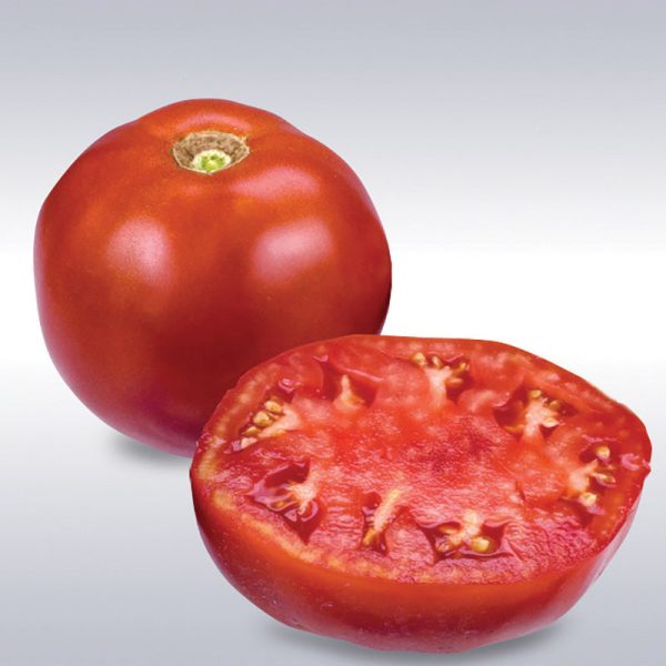 Tomato Moreton Hybrid F1 Seed Online