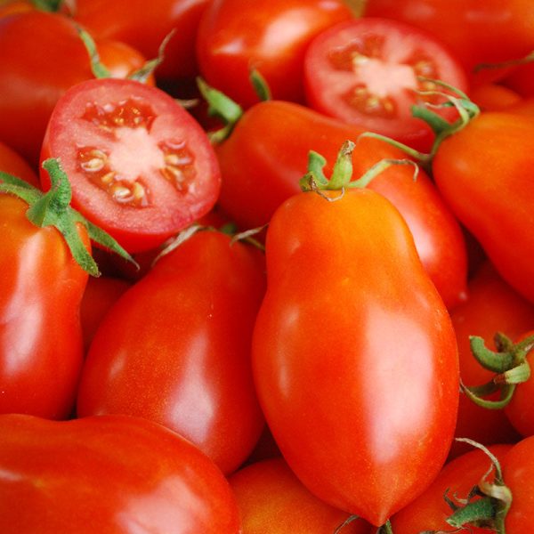 Tomato Roma VF Seed Online now
