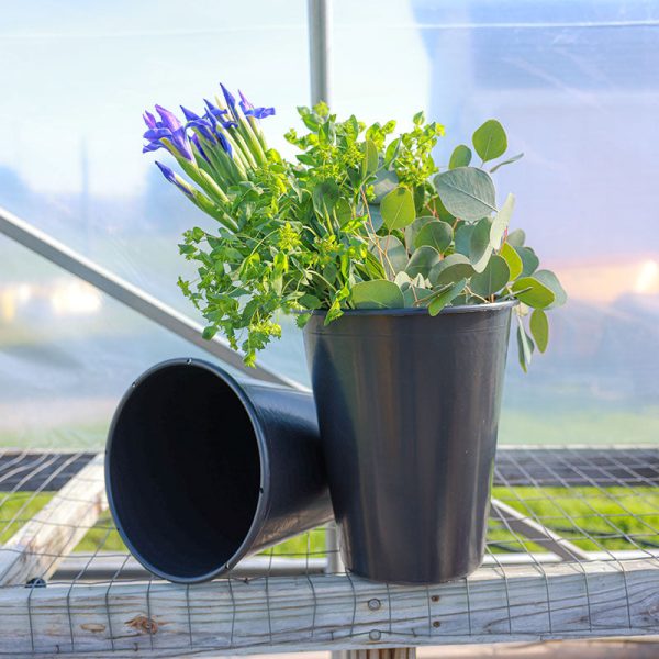 Cut Flower Display Buckets 13L Conical Online Sale - Image 2