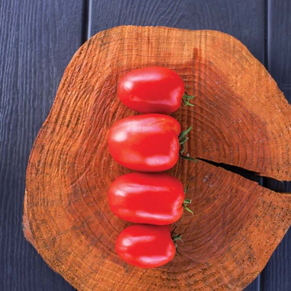 Tomato Atrevido F1 Seed For Cheap - Image 2