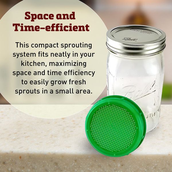 1 Quart Mason Jar and Sprouting Lid Combo Discount - Image 4