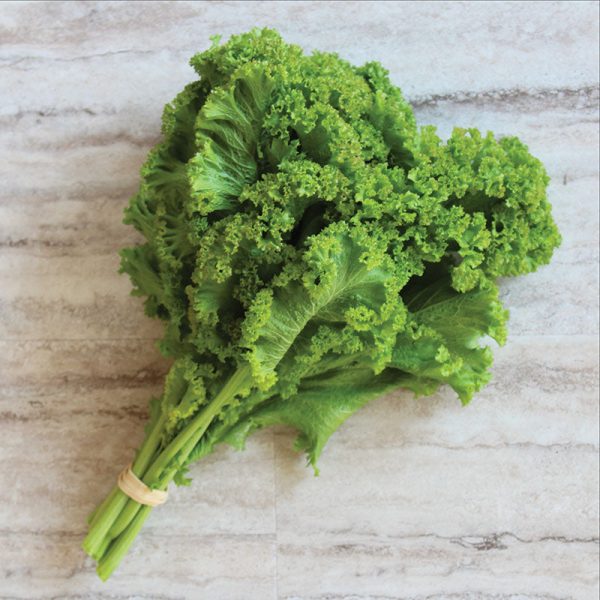 Mustard Southern Giant Curled Seed For Cheap