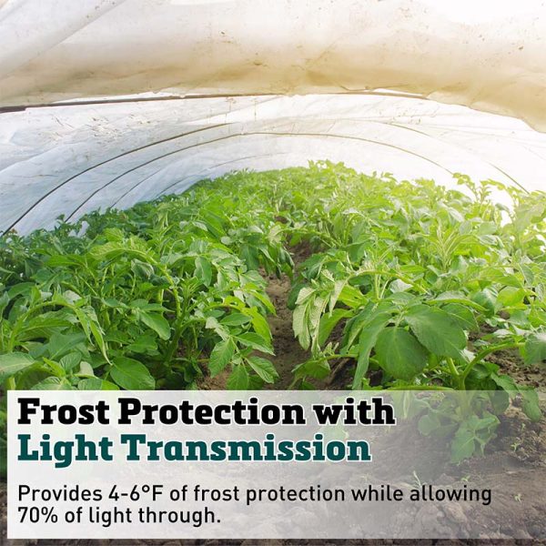 Row Cover Agribon AG-30 83  x 250  For Cheap - Image 4