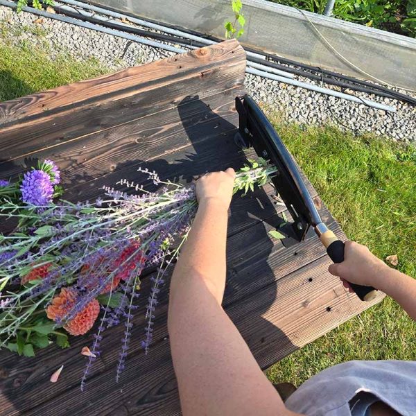 Cut Flower Stem Cutter For Sale - Image 2