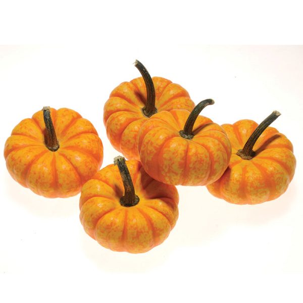Pumpkin Spark F1 Seed For Discount - Image 4
