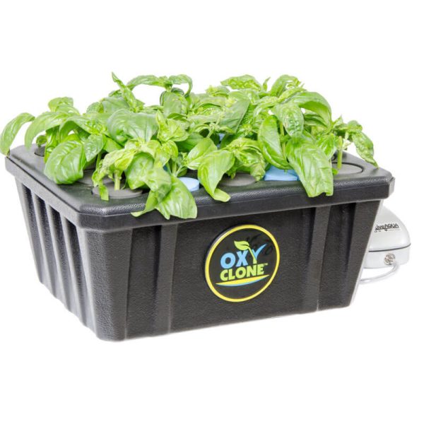 oxyCLONE 20 Cell Cloning System For Discount
