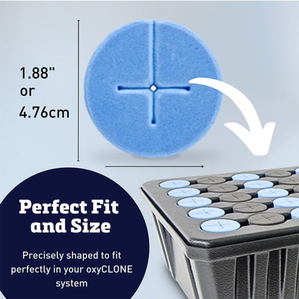 oxyCLONE oxyCERTS Blue 1-7 8  For Discount - Image 2