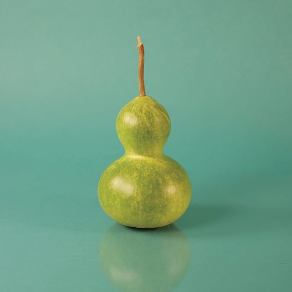 Gourd Birdhouse Seed on Sale - Image 2