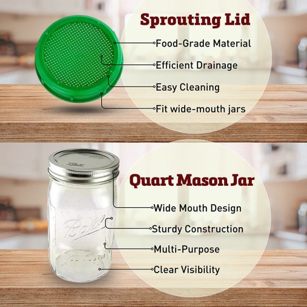 1 Quart Mason Jar and Sprouting Lid Combo Discount - Image 2