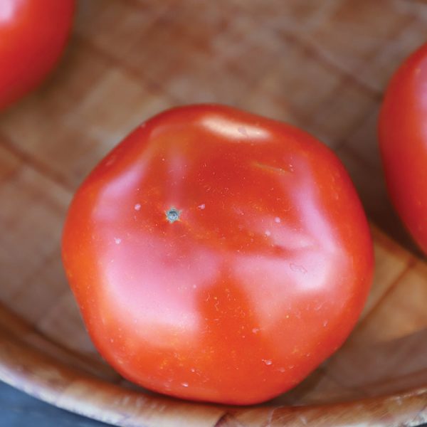 Tomato Red Snapper F1 Seed Online - Image 4
