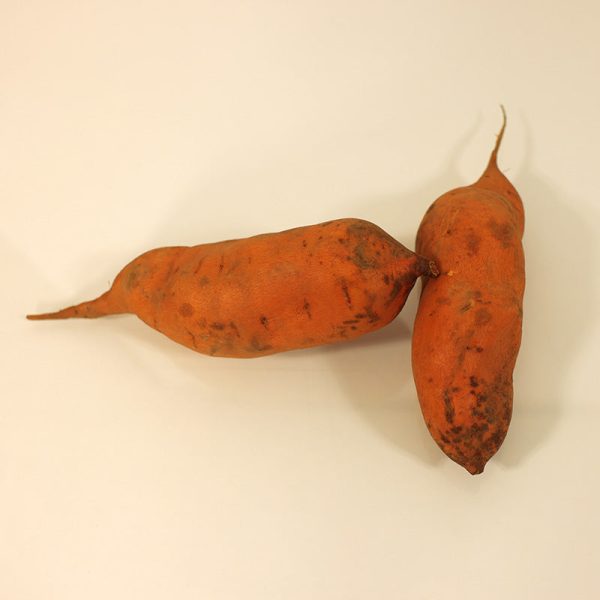 Sweet Potato Centennial Discount - Image 4