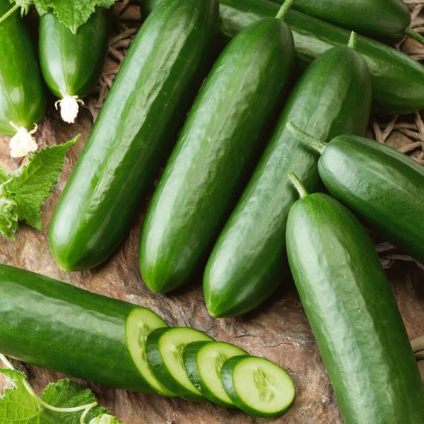 Cucumber Snack F1 Seed Cheap - Image 2