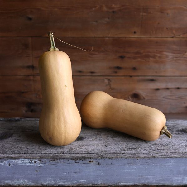 Squash Gabrielle F1 Farmore Seed Sale
