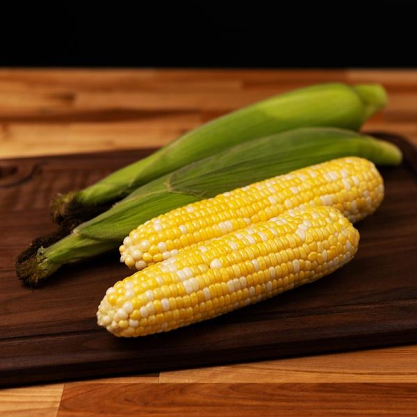 Sweet Corn Biotech Revision F1 Seed Sale