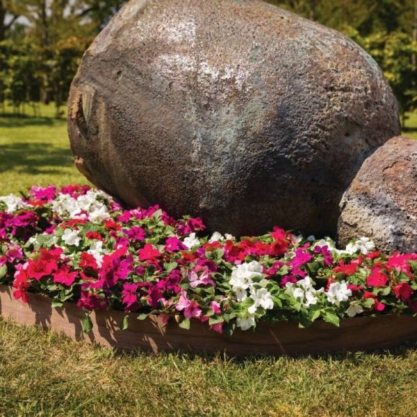 Impatiens Imara XDR Rosy Mix F1 Seed Online - Image 3