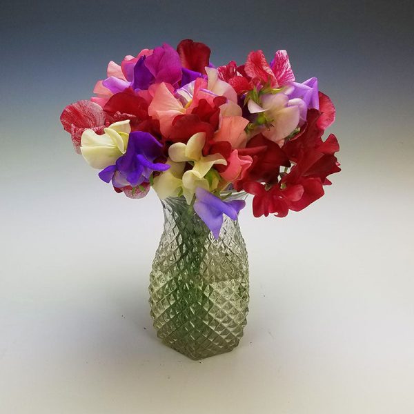 Sweet Pea Incense Mix Seed Online Hot Sale - Image 4