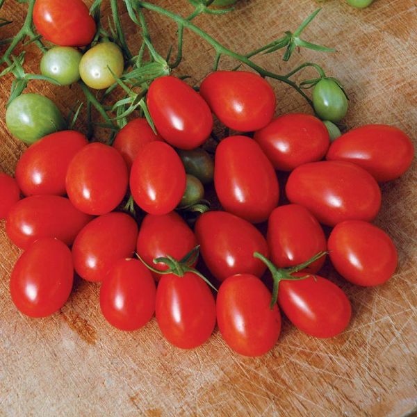 Tomato Red Grape F1 Seed For Discount