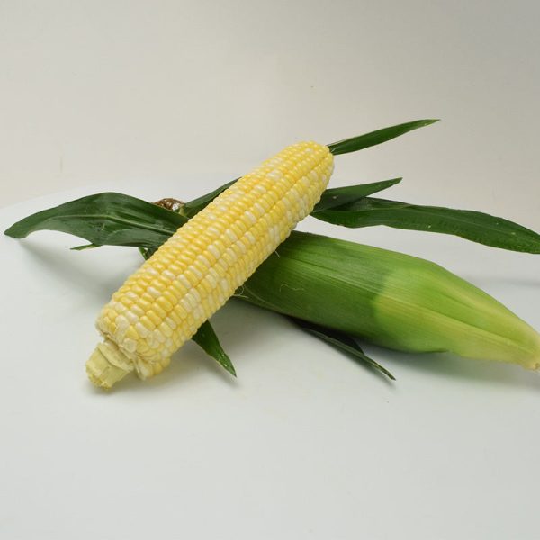 Sweet Corn Cuppa Joe F1 Seed For Sale - Image 2