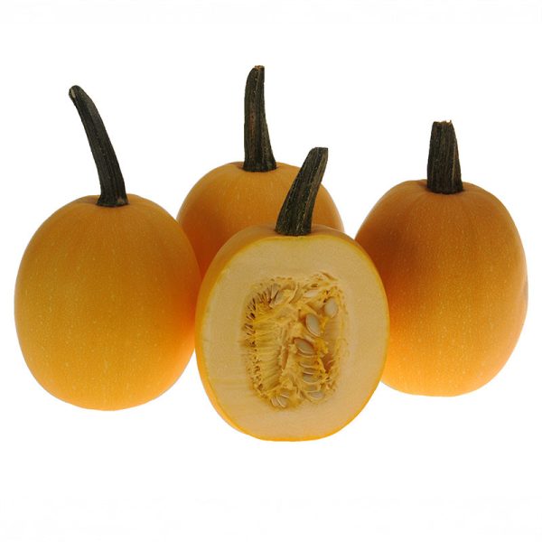Squash Small Wonder F1 Seed Online - Image 3
