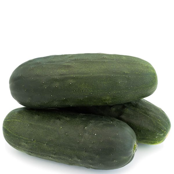 Cucumber Espirit F1 Seed Cheap