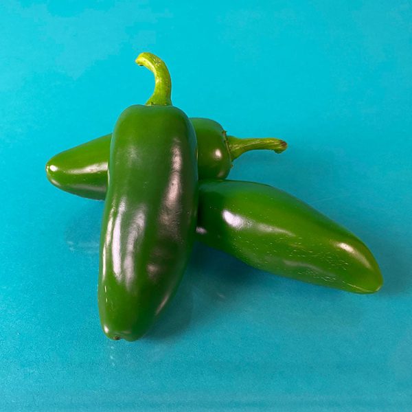 Pepper Dante F1 Live Plants Hot on Sale - Image 2