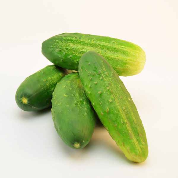 Cucumber Regal F1 Seed Online Hot Sale - Image 3