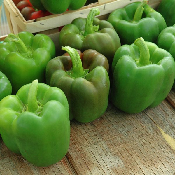 Pepper Declaration F1 Seed Cheap - Image 2