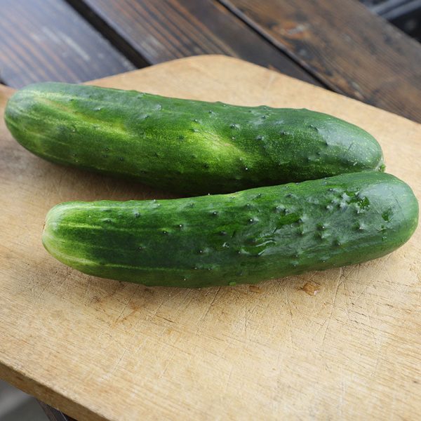 Cucumber Sweet Slice F1 Seed on Sale
