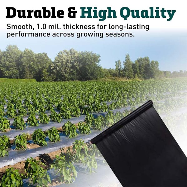 Black Plastic Mulch 3  x 600  Hot on Sale - Image 2